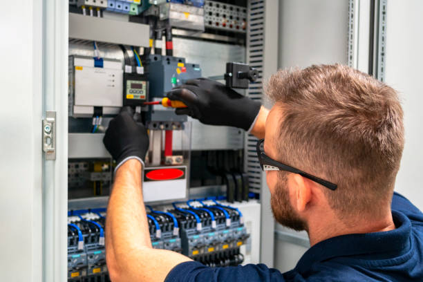 Best Electrical Panel Upgrades  in Mount Vernon, IL